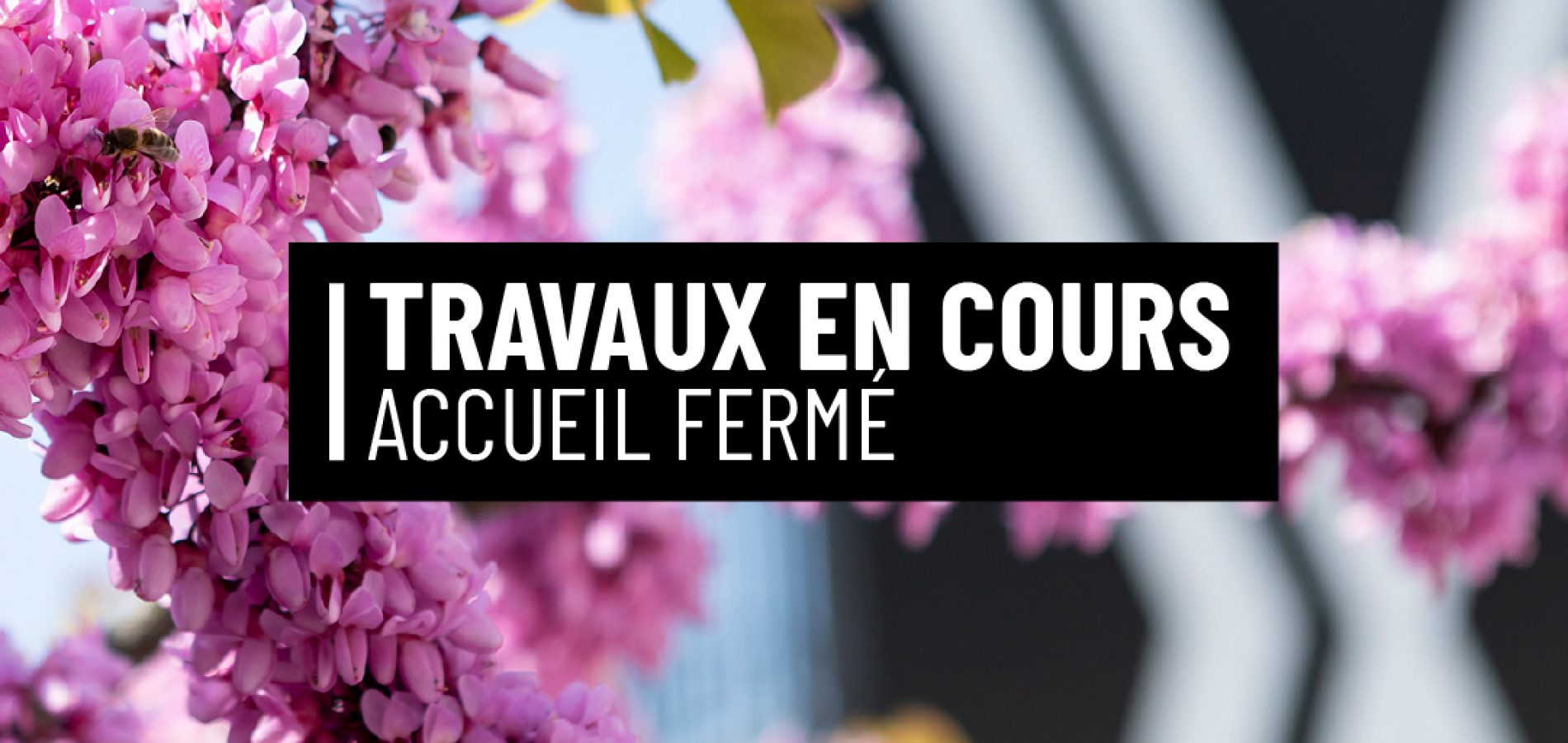 TRAVAUX_Plan de travail 1 copie 3